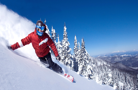 尊龙凯时人生就是搏 -首页官网