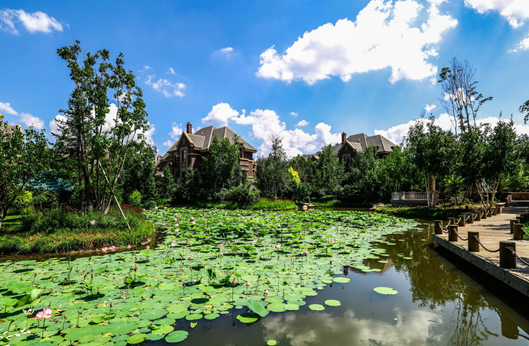 尊龙凯时人生就是搏 -首页官网