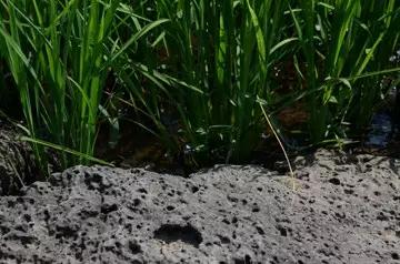 尊龙凯时人生就是搏 -首页官网